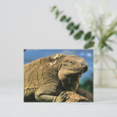 Iguana Postcard Postkarte (Stehend Vorderseite)