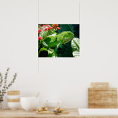 Iguana Poster (Küche)