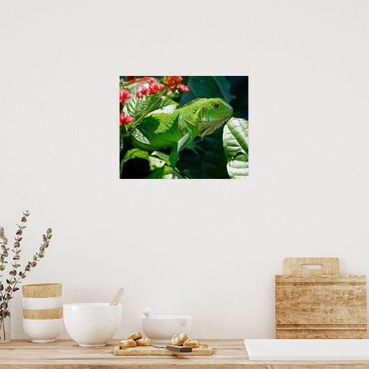 Iguana Poster (Küche)