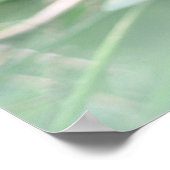 Iguana Poster (Ecke)