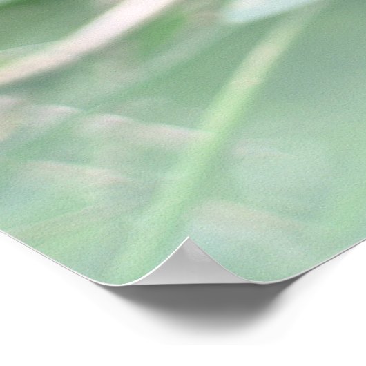 Iguana Poster (Ecke)