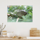Iguana Poster (Küche)