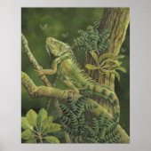 Iguana Poster (Vorne)