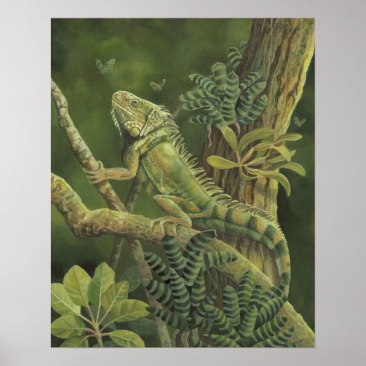 Iguana Poster (Vorne)