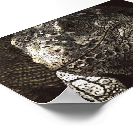 Iguana Poster (Ecke)
