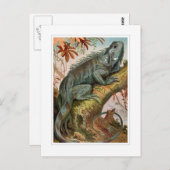 Iguana Postkarte (Vorne/Hinten)