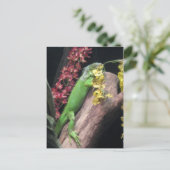Iguana Postkarte (Stehend Vorderseite)