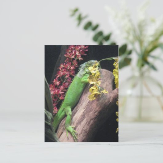 Iguana Postkarte (Stehend Vorderseite)