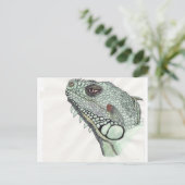 Iguana Postkarte (Stehend Vorderseite)