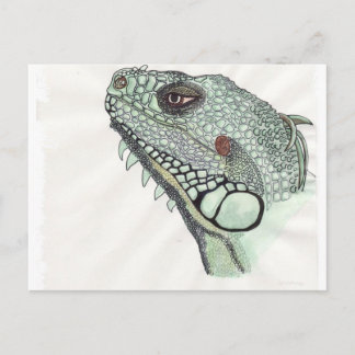 Iguana Postkarte