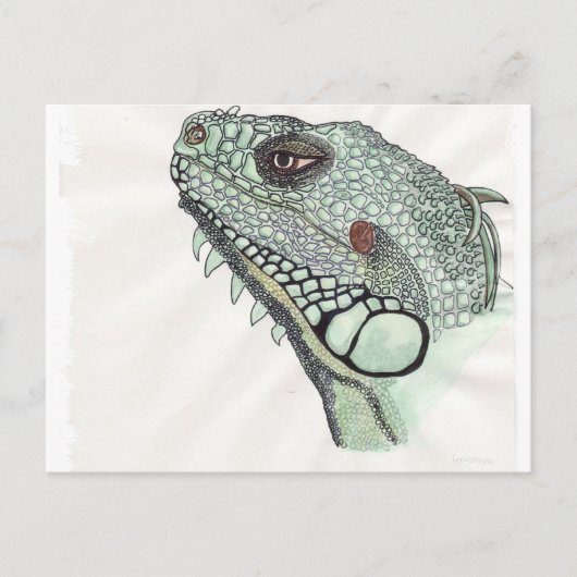 Iguana Postkarte (Vorderseite)
