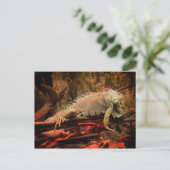 Iguana Postkarte (Stehend Vorderseite)