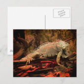 Iguana Postkarte (Vorne/Hinten)