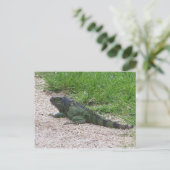 Iguana Postkarte (Stehend Vorderseite)