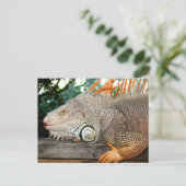 Iguana Postkarte (Stehend Vorderseite)