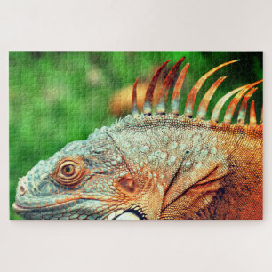 Iguana Puzzle