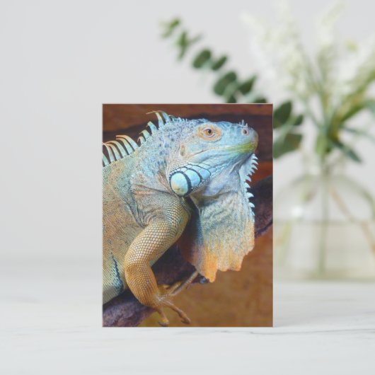 Iguana Reptil Postkarte (Stehend Vorderseite)