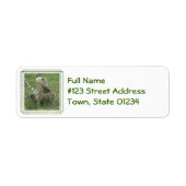 Iguana-Rücksendeadresse (Vorne)