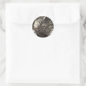Iguana Runder Aufkleber (Tasche)