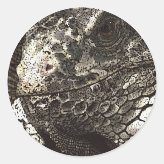 Iguana Runder Aufkleber (Vorderseite)