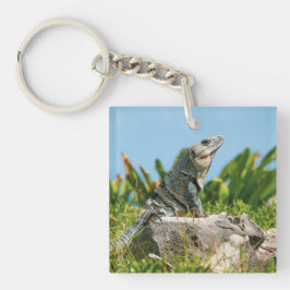Iguana Schlüsselanhänger