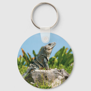 Iguana Schlüsselanhänger
