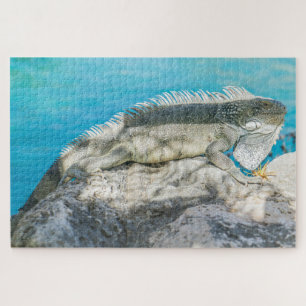 Iguana Sonnenbaden am Strand Rock Puzzle