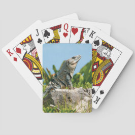 Iguana Spielkarten
