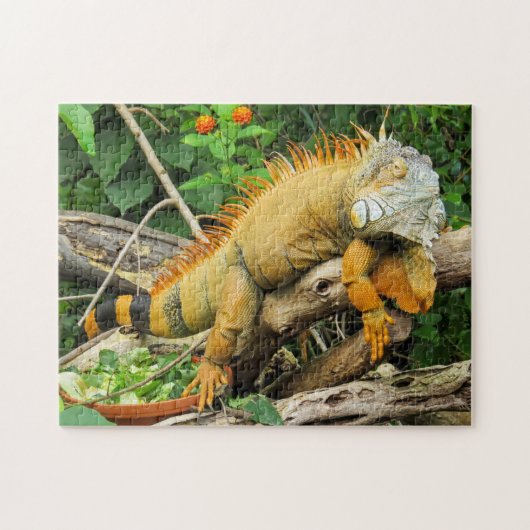Iguana-Tier Puzzle (Horizontal)