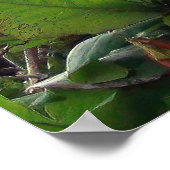 Iguana Tree Poster (Ecke)