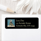 Iguana Tropical Wildlife Fotografy at St. Thomas (Insitu)