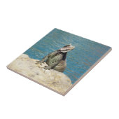 Iguana Tropical Wildlife Fotografy at St. Thomas Fliese (Seite)