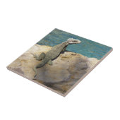 Iguana Tropical Wildlife Fotografy at St. Thomas Fliese (Seite)