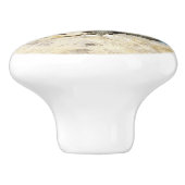 Iguana Tropical Wildlife Fotografy at St. Thomas Keramikknauf (Seitenansicht)