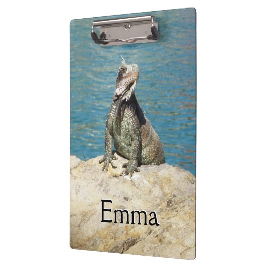 Iguana Tropical Wildlife Fotografy at St. Thomas Klemmbrett (Links)