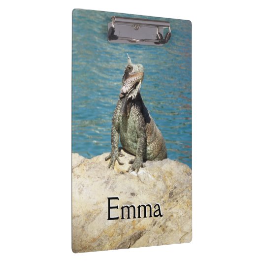 Iguana Tropical Wildlife Fotografy at St. Thomas Klemmbrett (Rechts)