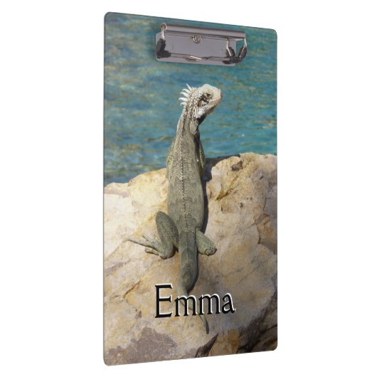 Iguana Tropical Wildlife Fotografy at St. Thomas Klemmbrett (Rechts)