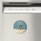 Iguana Tropical Wildlife Fotografy at St. Thomas Magnet (In Situ (Geschirrspüler))