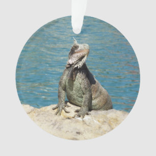Iguana Tropical Wildlife Fotografy at St. Thomas Ornament