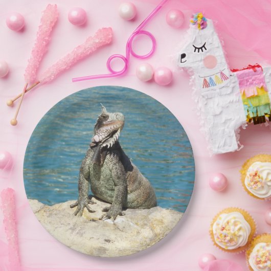 Iguana Tropical Wildlife Fotografy at St. Thomas Pappteller (Party)