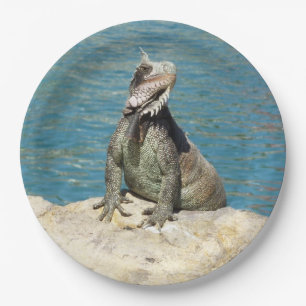Iguana Tropical Wildlife Fotografy at St. Thomas Pappteller
