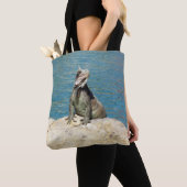 Iguana Tropical Wildlife Fotografy at St. Thomas Tasche (Von Nahem)