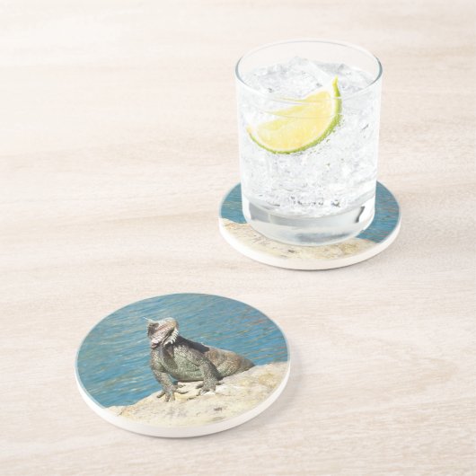 Iguana Tropical Wildlife Fotografy Getränkeuntersetzer (Seite)