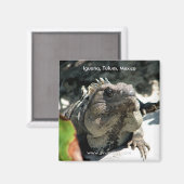 Iguana, Tulum, Mexiko Magnet (Vorderseite/Rückseite)