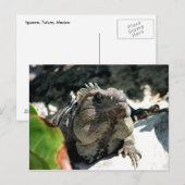 Iguana, Tulum, Mexiko Postkarte (Vorne/Hinten)