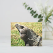 Iguana, Tulum, Mexiko Postkarte (Stehend Vorderseite)