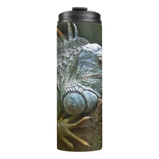 Iguana tumbler thermosbecher (Vorderseite)