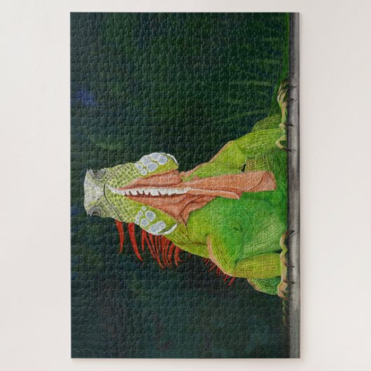 Iguana Typ 20 x 30 Jigsaw Puzzle (Vertikal)