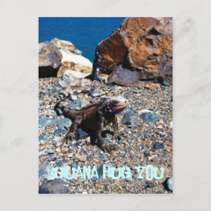 Iguana umarmen Sie Postkarten