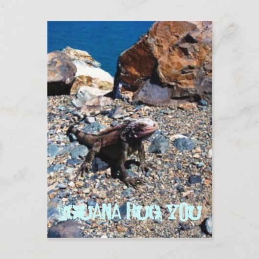 Iguana umarmen Sie Postkarten (Vorderseite)